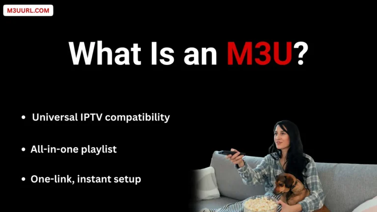 What Is an M3U