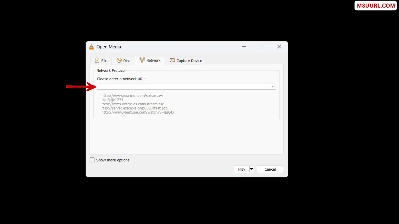 Paste M3U playlist URL in VLC Open Network Stream window